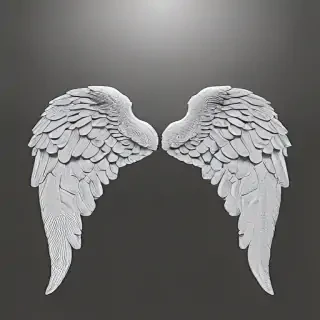 picture of angel wings