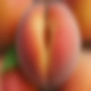 peach png