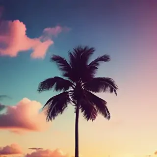 chill backgrounds