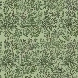 aesthetic sage green