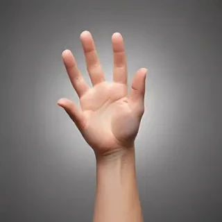 hand reaching png