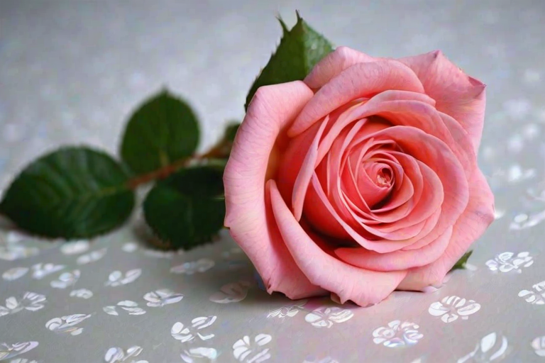 wallpaper rose wallpaper