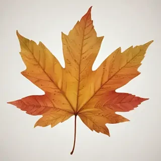 fall leaf png