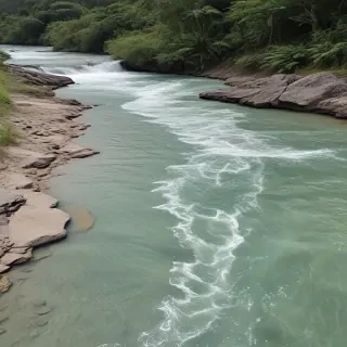 png river