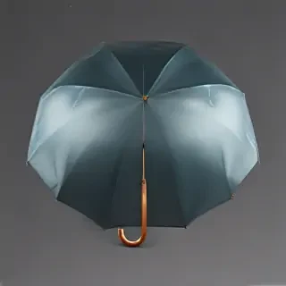 png umbrella