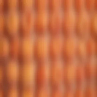 peach color bg