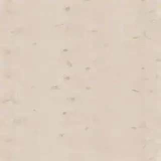neutral wallpaper desktop