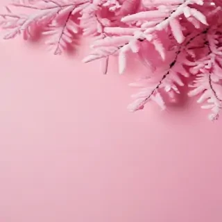 pink winter background