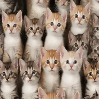 kittens background