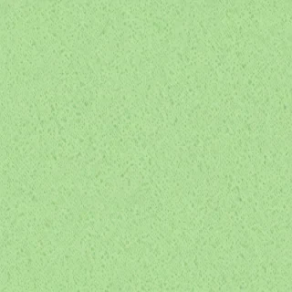 light green background plain