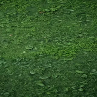 green textures