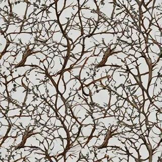 png branches