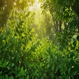 background green leaves