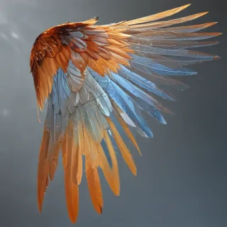 wings transparent