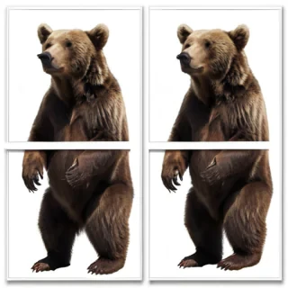 bear png