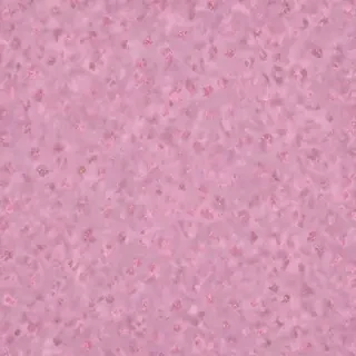 bedroom backgrounds