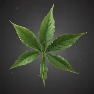 pot leaf png