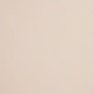 neutral aesthetic background