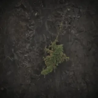 oregon png