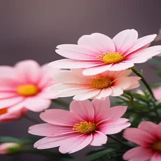 cute flower wallpaper
