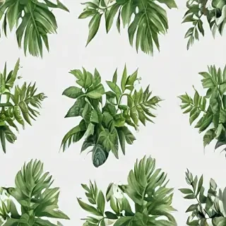 plants transparent background