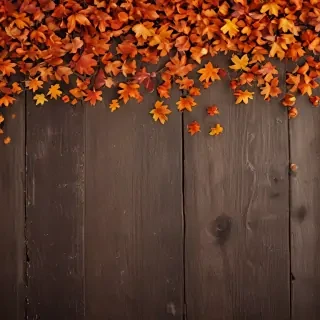 autumn iphone wallpaper