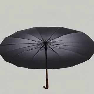 png umbrella