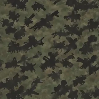 army backround