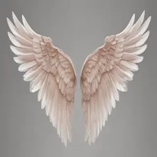 wings transparent