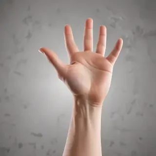 hand reaching png