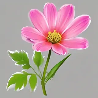 flower clip art transparent