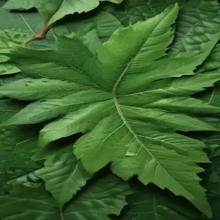 green leaf design