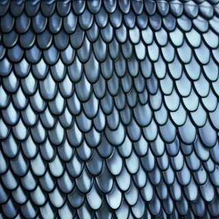 fish scales