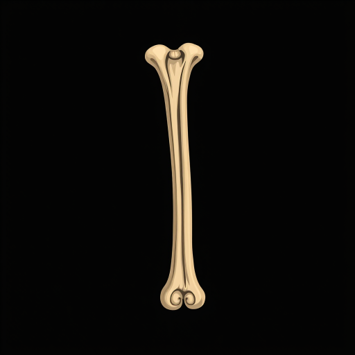 Illustration of a long bone displayed vertically on a black background, high-resolution, DSLR camera, 50mm lens, f/2.8 aperture, ISO 100, soft lighting, shallow depth of field.