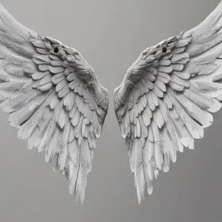png angel wings