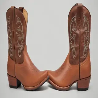cowboy boot png