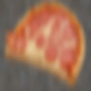 pizza slice png