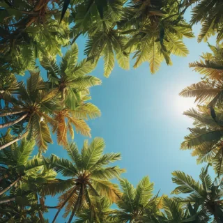 summer phone backgrounds