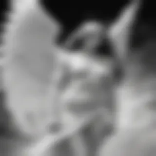 black and white angel drawings