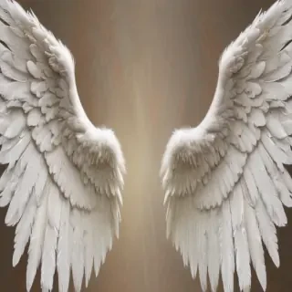 angel wings wallpaper