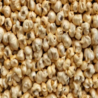 png popcorn