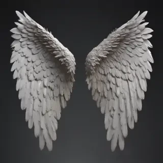 angel wings png
