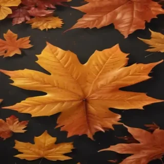 fall leaf png