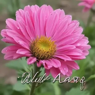 hello may images