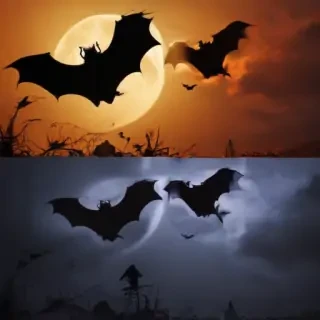 halloween bats images