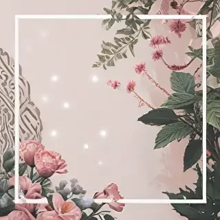 aesthetic borders