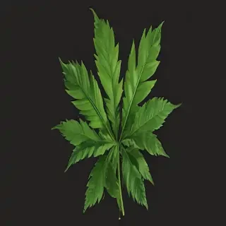 pot leaf png
