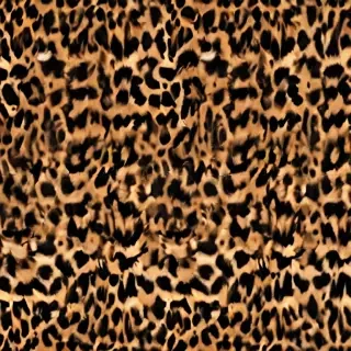 leopard print png