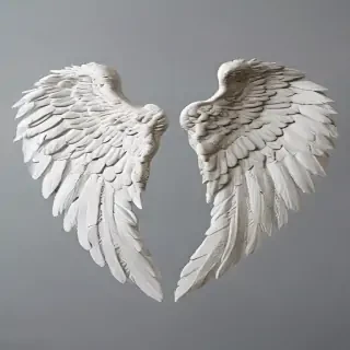 angel wing pictures