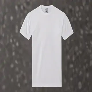 white tee png